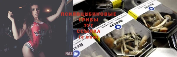 дурь Дмитров
