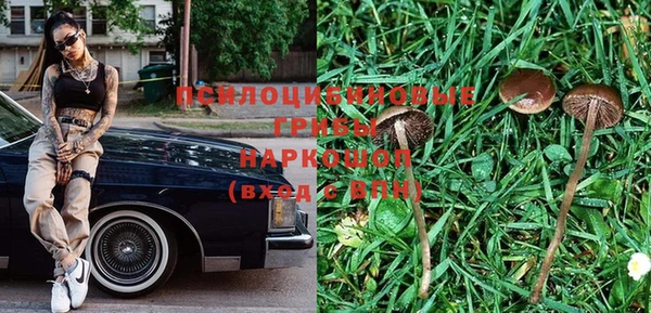 дурь Дмитров