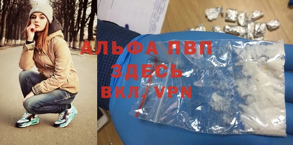 молекула духа Гусиноозёрск