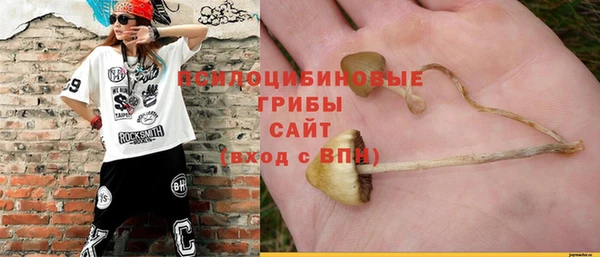 молекула духа Гусиноозёрск