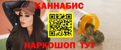 гашик Гатчина