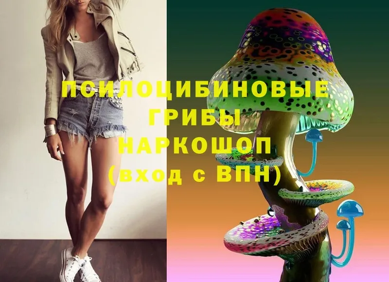 Псилоцибиновые грибы MAGIC MUSHROOMS  хочу наркоту  Ефремов 