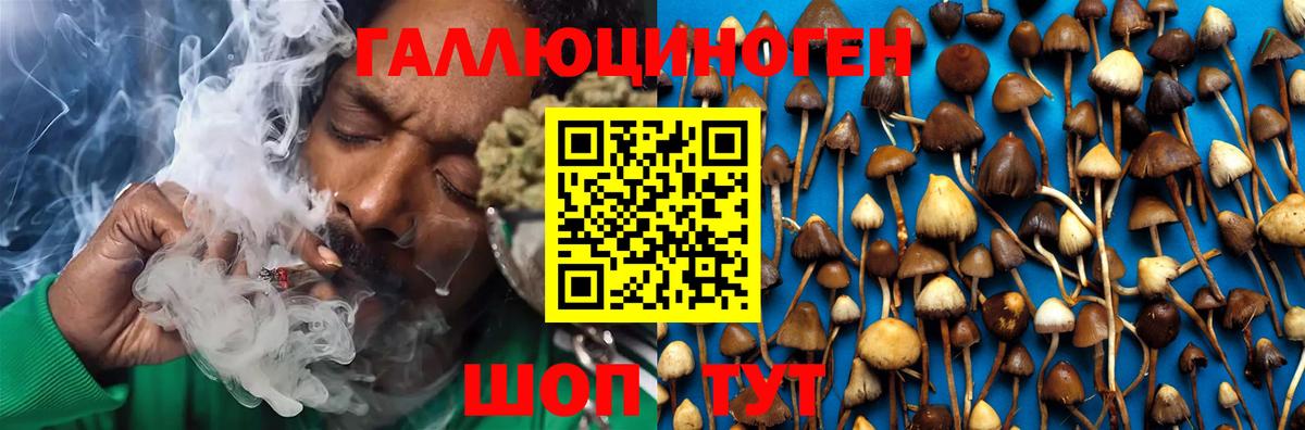 Галлюциногенные грибы MAGIC MUSHROOMS  Вход с VPN  Ефремов 